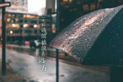 世界乒坛教练员资格提升课程开班通知，乒乓球世界职业联队教练