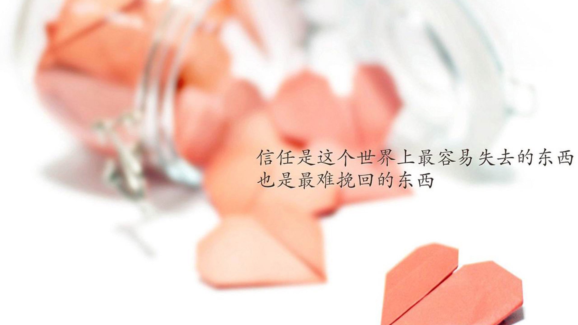 世界拳击公开赛：角落战术与裁判沟通获重视，世界拳击争霸赛2020